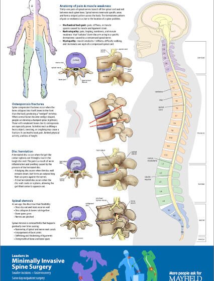 Spine Wounds and Conditions