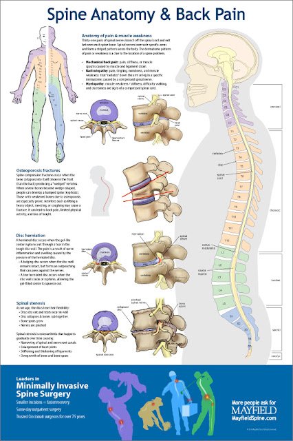 Understanding Spine (Back and Neck) Wounds and Conditions