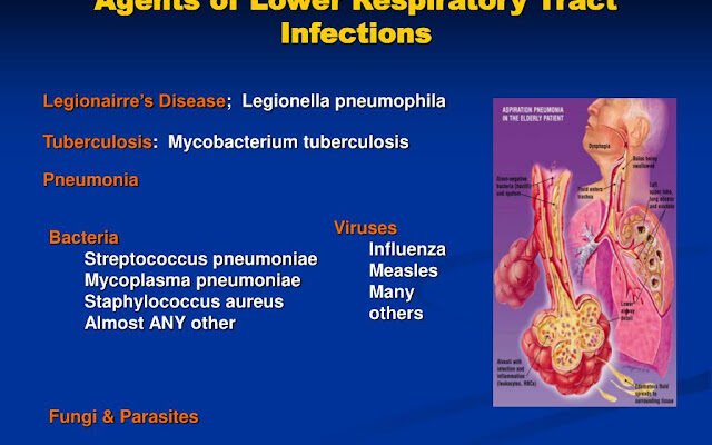 2024-2025 Respiratory Disease