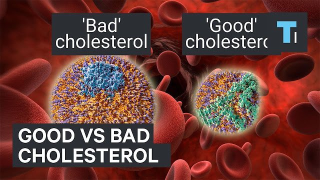 Cholesterol