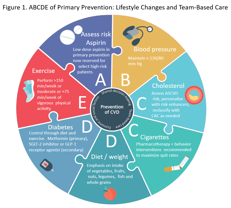 The Role of Mental Resilience and a Balanced Diet in Chronic Disease Prevention