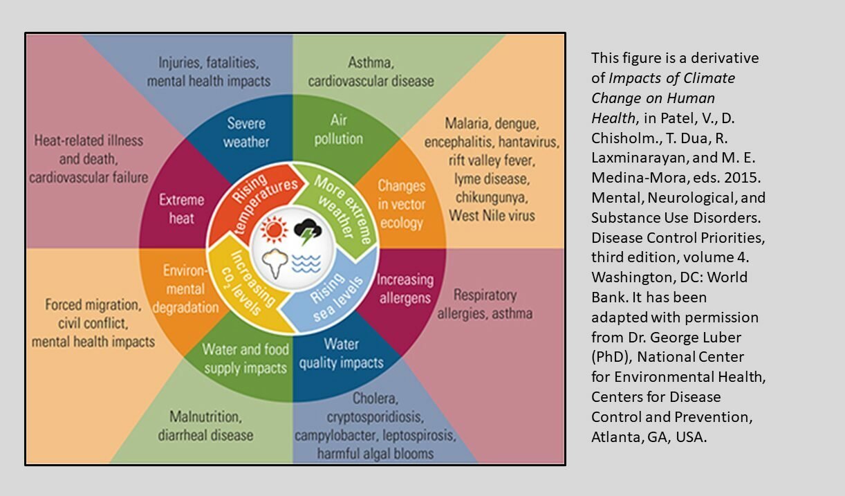 Understanding Human Health and Its Impact on Daily Life