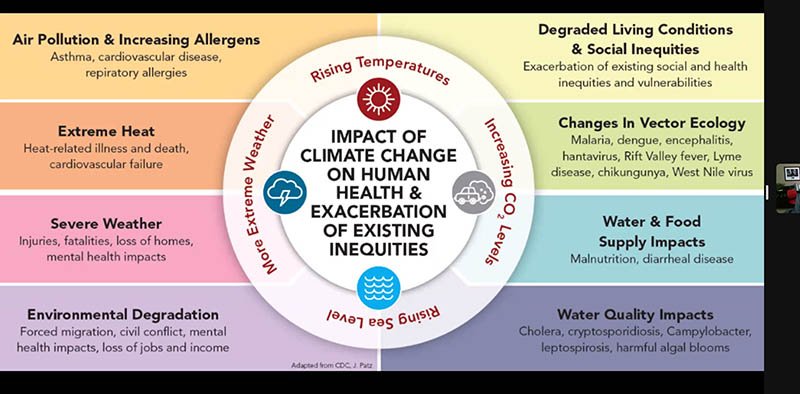 Quality and Alternative Medicine on Human Health