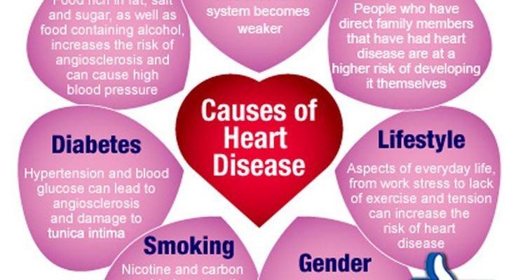 Management, Disease Prevention, and Cardiovascular Health