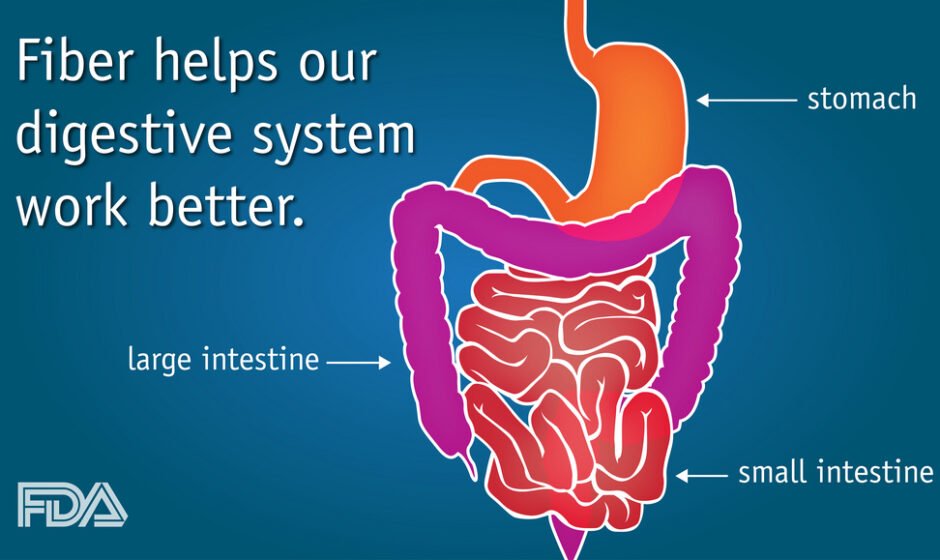 Health Tips for Immune System Support, Digestive Health