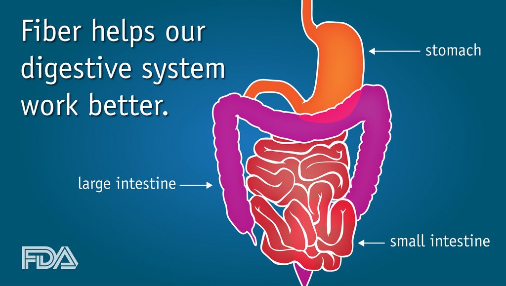 Health Tips for Immune System Support, Digestive Health, and Managing Perimenopause Symptoms