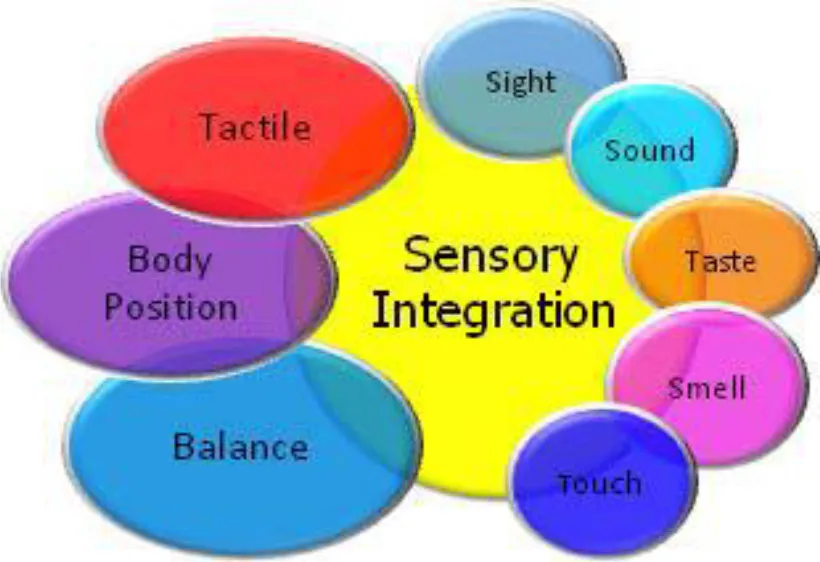 Sensory Development in Kids- A Key Aspect of Health