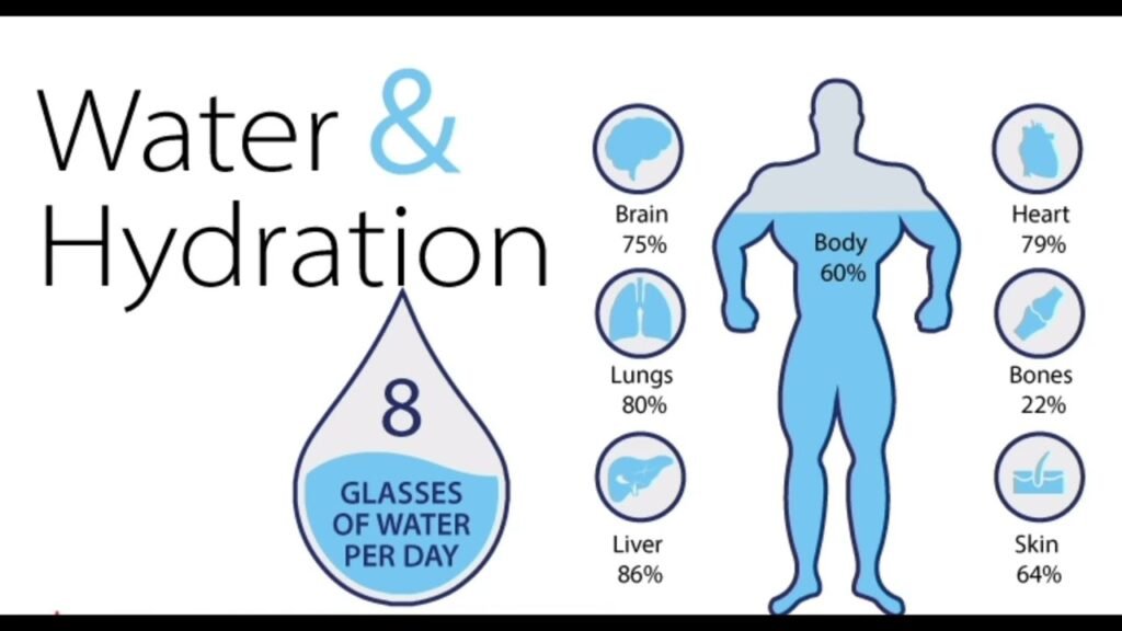 The Importance of Hydration and Its Impact on Health-A Comprehensive Guide