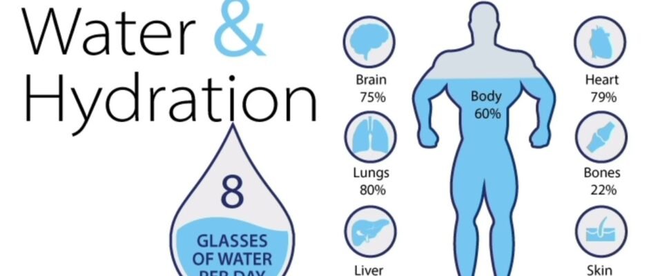 Hydration and Its Impact on Health